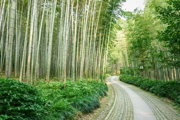 Tissu par mètre Bambou Quiet Bamboo forest trail in Hangzhou, China