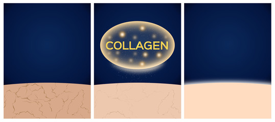 collagen and skin before and after