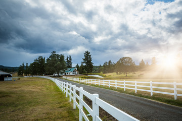 Fototapeta premium country road from farm
