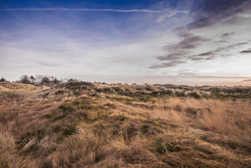 Fototapeta na wymiar Landscape