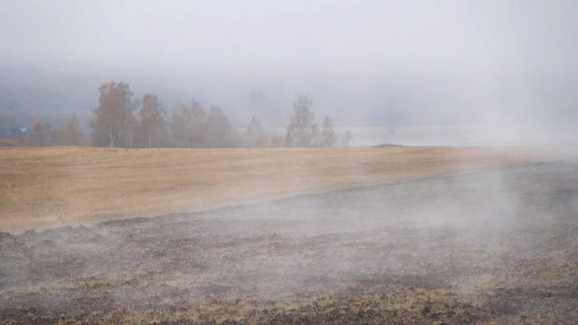 Arable land fallow in Altai near Multa village under morning mist wafts