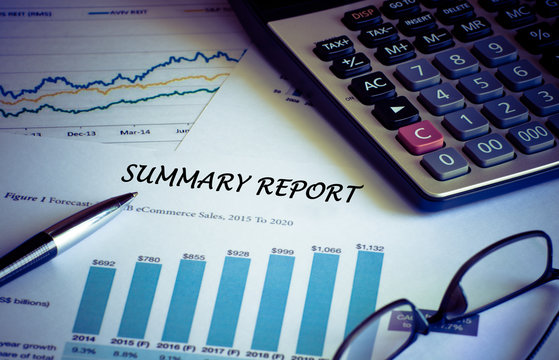 Financial accounting summary report graphs analysis
