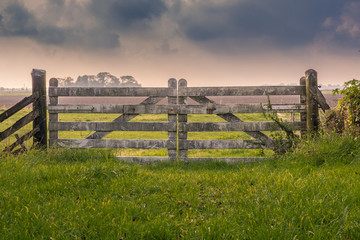 The Gate