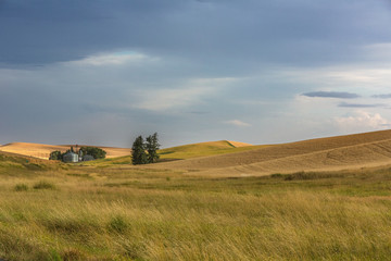 View over wheat fields from Steptoe Butte, Palouse Valley, easte