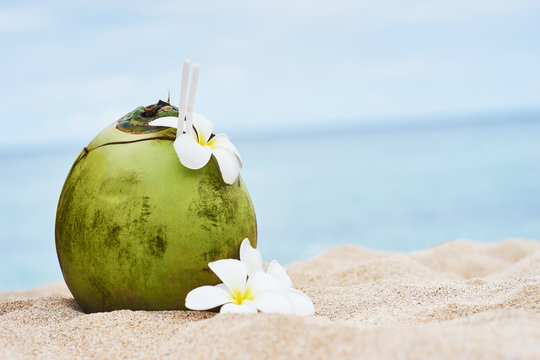 Fresh Coconut With A Straw And The Decor Of Flowers