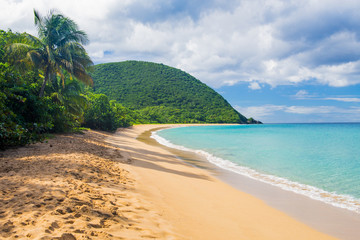Obraz premium Grand Anse Beach