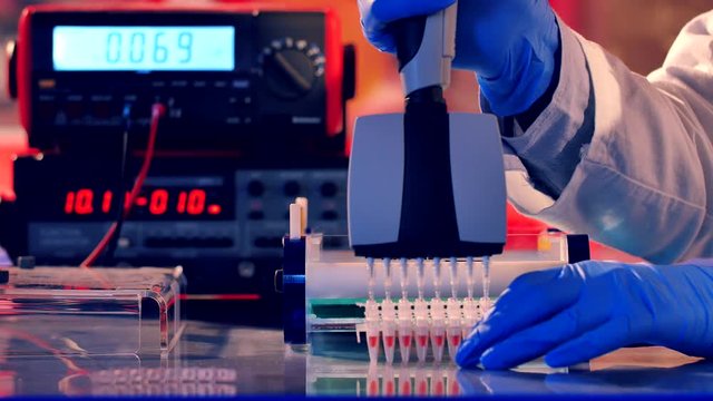 Sample preparation for DNA electrophoresis. Adding samples in Gel Electrophoresis