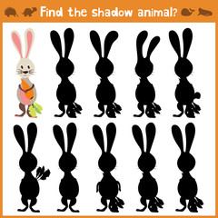 Cartoon vector illustration of education will find appropriate shadow silhouette animal rabbit. Matching game for children of preschool age. Vector - 107937118