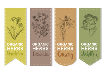 Organic herbs label of dandelion  coriander ginseng achillea © tatiana_davidova