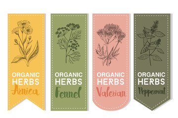 Organic herbs label of arnica fennel valerian peppermint
