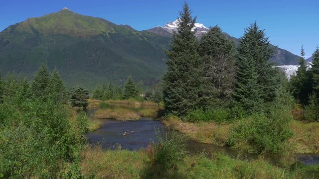 Majestic River Nature View Juneau Alaska Mendenhall Glacier Park. - 4k