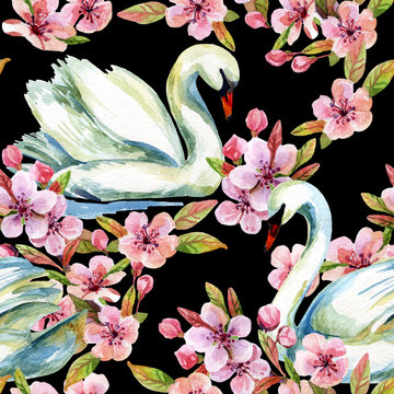 Watercolor swan and cherry bloom