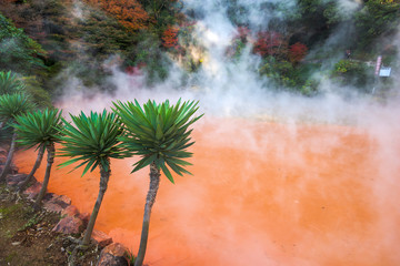 Blood Hell Hot spring In Beppu, Japan.