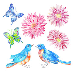 Butterfly, bird, flowers. Watercolor isolated object.