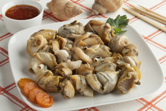 Fresh cooked common whelks
