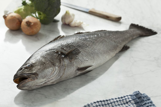  Fresh raw corvina fish