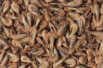 Unpeeled brown shrimps