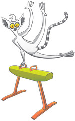 Cool lemur, with yellow bulging eyes, pointy ears and long stripped tail, smiling, waving and staring at you while performing on a pommel horse with great ease and elegance