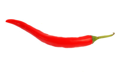 Red chili peppers isolated on white background