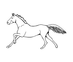 The gallop of the horse (outline)