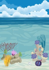 Naklejka na ściany i meble underwater landscape background with different corals and Sea urchin