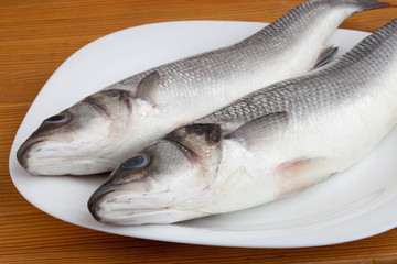 raw seabass fish