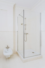 White elegant shower room