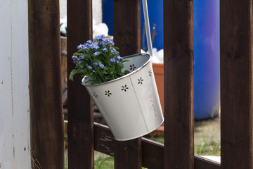 Flowers in bucket