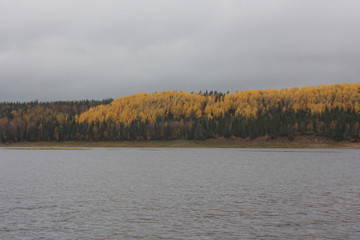 Осенний берег. Вид с озера.