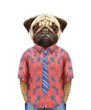Portrait of Pug in summer shirt with tie. Hand-drawn illustration, digitally colored.