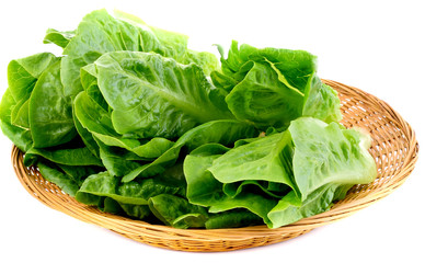 Fresh lettuce (baby cos) in a basket on white back ground