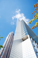 Frankfurt Messeturm and Highrise with trees