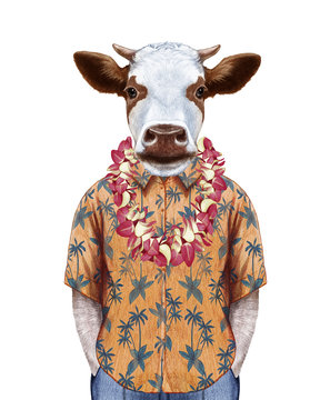 Portrait of Cow in summer shirt with Hawaiian Lei. Hand-drawn illustration, digitally colored.