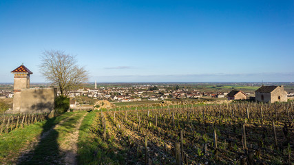 murets de Meursault