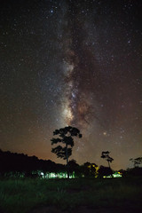 Silhouette of tree and milky way, Long exposure photograph, with