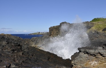 Blowhole  at the Rocky coast near Kiama, New South Wales, Australia