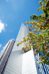 Frankfurt Messeturm and Highrise with trees