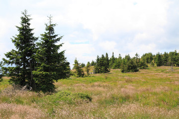 jeseniky mountains nature