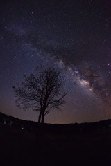 Silhouette of Tree and Milky Way. Long exposure photograph.With