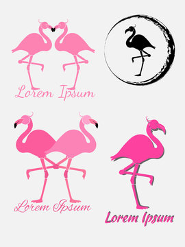 Flamingo logo and icon set. Isolated on gray background