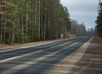 Obraz premium road fleeing into the distance in spring forest