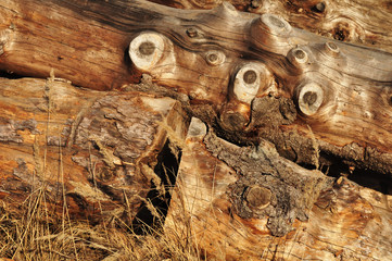wooden background close-up