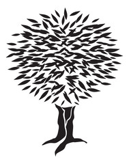 full tree in silhouette