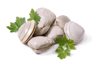 Gordijnen seafood, clams isolated on white © tetxu