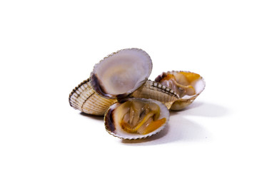 seafood, isolated cockles