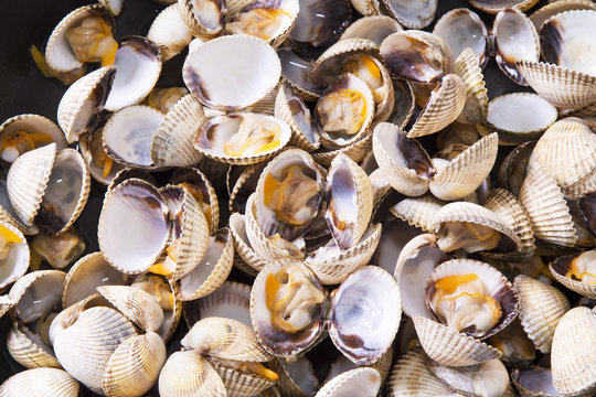 seafood, cockles