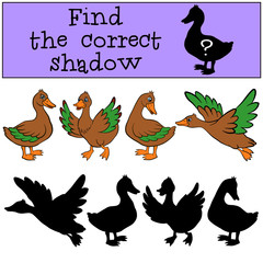 Children games: Find the correct shadow. Ducks.