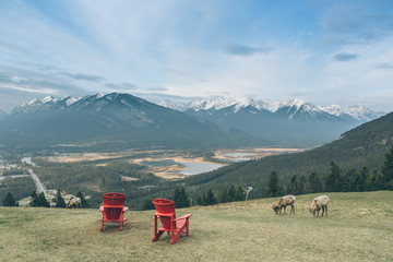view point of banff national park
