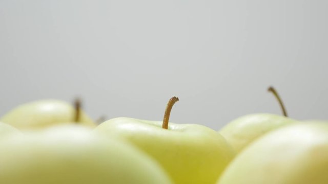 Healthy fresh apple fruit background with petioles slow tilt 4K 3840X2160 30fps UltraHD video - Tilting on yellow apples with penducles in a row 4K 2160p UHD footage 