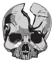 Fototapeta premium human skull Biology - vector